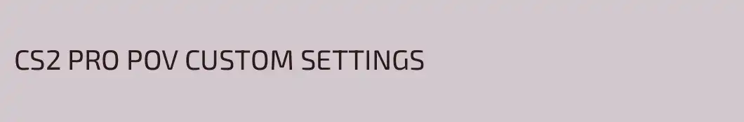 CS2 PRO POV CUSTOM SETTINGS